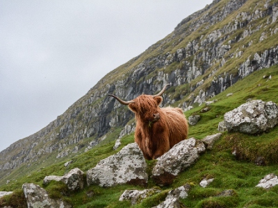 Scottish Climate Week at Silverburn | Silverburn Shopping Centre